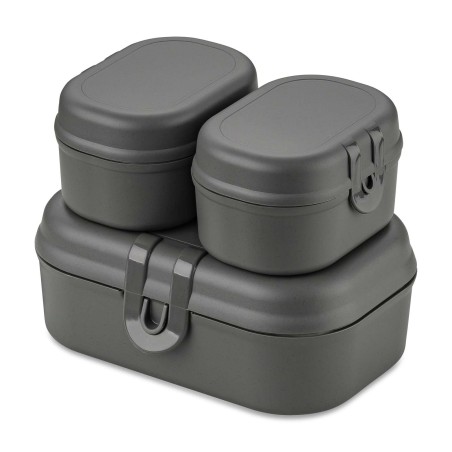 Lunchbox Pascal ready mini nature Ash grey Koziol K7151701