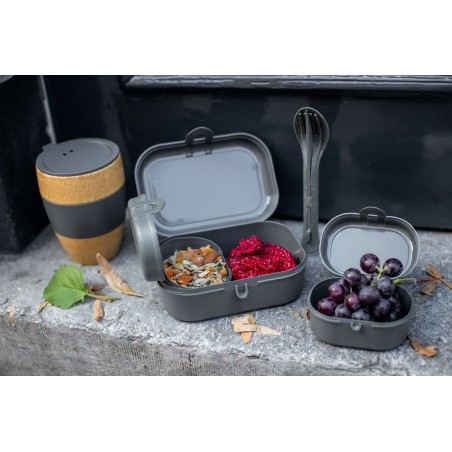Lunchbox Pascal ready mini nature Ash grey Koziol K7151701