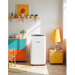 KLIMATYZATOR PRZENOŚNY BLAUPUNKT ACP312 - zdjęcie dodatkowe nr. 4