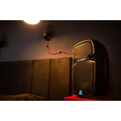 Profesjonalny system audio Blaupunkt PA10 - zdjęcie dodatkowe nr. 5