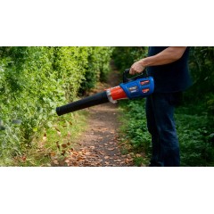 DMUCHAWA DO LIŚCI BLAUPUNKT LB3010 - zdjęcie dodatkowe nr. 16