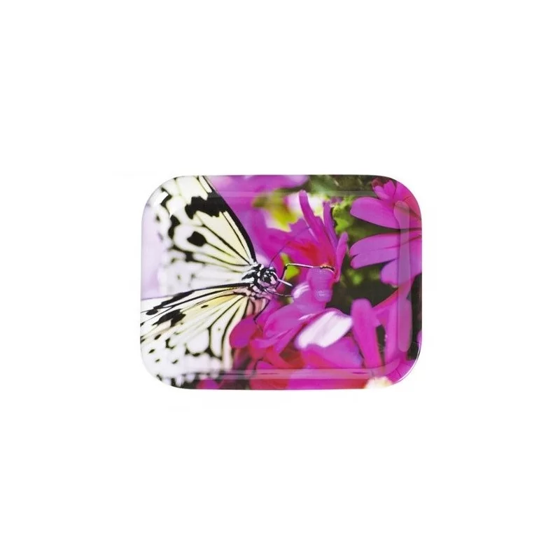 Taca - motyl GIMEX G35241 Taca - motyl GIMEX G35241